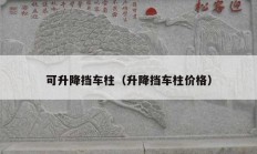 可升降擋車(chē)柱（升降擋車(chē)柱價(jià)格）