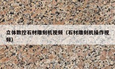 立體數(shù)控石材雕刻機視頻（石材雕刻機操作視頻）