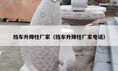 擋車(chē)升降柱廠家（擋車(chē)升降柱廠家電話）